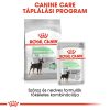 Royal Canin Digestive Care Alutasakos Kutyaeledel - 12x85 g