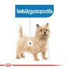 Royal Canin Light Weight Care Alutasakos Kutyaeledel - 12x85 g