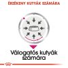 Royal Canin Exigent Alutasakos Kutyaeledel - 12x85 g