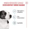 Royal Canin Wet Mini Puppy Alutasakos Kutyaeledel - 85 g