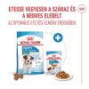 Royal Canin Wet Mini Puppy Alutasakos Kutyaeledel - 85 g