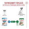 Royal Canin Wet Mini Puppy Alutasakos Kutyaeledel - 12x85 g
