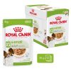 Royal Canin Wet X-Small Adult Alutasakos Kutyaeledel - 12x85 g