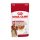 Royal Canin Wet Medium Adult Alutasakos Kutyaeledel - 140 g