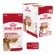 Royal Canin Wet Medium Adult Alutasakos Kutyaeledel - 10x140 g