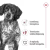 Royal Canin Wet Medium Adult Alutasakos Kutyaeledel - 10x140 g