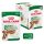 Royal Canin Wet Mini Ageing Alutasakos Kutyaeledel - 12x85 g