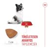Royal Canin X-Small Puppy (1-4 kg) Száraz Kutyatáp - 500 g
