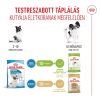 Royal Canin X-Small Puppy (1-4 kg) Száraz Kutyatáp - 1,5 kg
