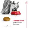 Royal Canin X-Small Adult (1-4 kg) Száraz Kutyatáp - 500 g