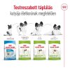 Royal Canin X-Small Adult (1-4 kg) Száraz Kutyatáp - 500 g