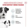 Royal Canin Mini Starter Mother & Babydog (4-10 kg) Száraz Kutyatáp - 8 kg