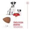 Royal Canin Mini Starter Mother & Babydog (4-10 kg) Száraz Kutyatáp - 8 kg