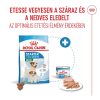 Royal Canin Mini Starter Mother & Babydog (4-10 kg) Száraz Kutyatáp - 8 kg