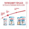 Royal Canin Mini Starter Mother & Babydog (4-10 kg) Száraz Kutyatáp - 8 kg