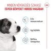 Royal Canin Mini Puppy (4-10 kg) Száraz Kutyatáp - 4 kg
