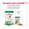 Royal Canin Mini Adult (4-10 kg) Száraz Kutyatáp - 800 g