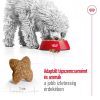 Royal Canin Mini Adult (4-10 kg) Száraz Kutyatáp - 4 kg