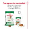 Royal Canin Mini Adult 8+ (4-10 kg) Száraz Kutyatáp - 8 kg