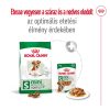 Royal Canin Mini Ageing 12+ (4-10 kg) Száraz Kutyatáp - 1,5 kg
