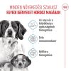 Royal Canin Medium Starter Mother & Babydog (11-25 kg) Száraz Kutyatáp - 4 kg