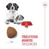 Royal Canin Medium Starter Mother & Babydog (11-25 kg) Száraz Kutyatáp - 4 kg