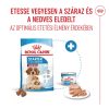 Royal Canin Medium Starter Mother & Babydog (11-25 kg) Száraz Kutyatáp - 4 kg