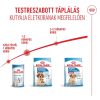Royal Canin Medium Starter Mother & Babydog (11-25 kg) Száraz Kutyatáp - 4 kg