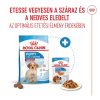 Royal Canin Medium Puppy (11-25 kg) Száraz Kutyatáp - 3 kg