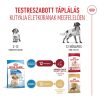 Royal Canin Medium Puppy (11-25 kg) Száraz Kutyatáp - 12 kg