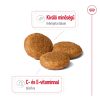 Royal Canin Medium Adult (11-25 kg) Száraz Kutyatáp - 3 kg