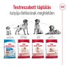 Royal Canin Medium Adult 7+ (11-25 kg) Száraz Kutyatáp - 4 kg