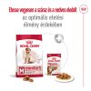 Royal Canin Medium Adult 7+ (11-25 kg) Száraz Kutyatáp - 15 kg