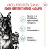 Royal Canin Maxi Starter Mother & Babydog (26-45 kg) Száraz Kutyatáp - 4 kg