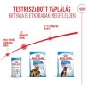 Royal Canin Maxi Starter Mother & Babydog (26-45 kg) Száraz Kutyatáp - 4 kg