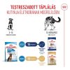 Royal Canin Maxi Puppy (26-45 kg) Száraz Kutyatáp - 1 kg