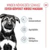 Royal Canin Maxi Puppy (26-45 kg) Száraz Kutyatáp - 15 kg