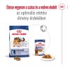 Royal Canin Maxi Adult (26-45 kg) Száraz Kutyatáp - 3 kg