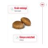 Royal Canin Maxi Adult (26-45 kg) Száraz Kutyatáp - 15 kg