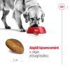 Royal Canin Maxi Adult (26-45 kg) Száraz Kutyatáp - 15 kg