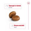 Royal Canin Maxi Adult 5+ (26-45 kg) Száraz Kutyatáp - 15 kg