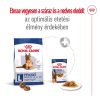 Royal Canin Maxi Ageing 8+ (26-45 kg) Száraz Kutyatáp - 15 kg