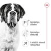 Royal Canin Giant Adult (>45 kg) Száraz Kutyatáp - 4 kg