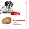 Royal Canin Giant Adult (>45 kg) Száraz Kutyatáp - 15 kg