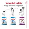 Royal Canin Giant Adult (>45 kg) Száraz Kutyatáp - 15 kg