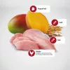 N&D Tropical Selection Neutered Adult Száraz Macskatáp (Csirke, Tönköly, Zab és Trópusi gyümölcsök) - 1,5 kg