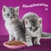 Whiskas Krémes Klasszikus Válogatás Junior Alutasakos Macskaeledel Szószban (Marha, Csirke, Baromfi, Bárány) - 12x85 g