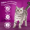 Whiskas Tasty Mix Krémes Válogatás Alutasakos Macskaeledel Szószban (Csirke és Zöldségek, Bárány és Pulyka) - 12x85 g