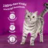 Whiskas Szárnyas Válogatás Alutasakos Macskaeledel Szószban (Csirke, Baromfi, Kacsa, Pulyka) - 12x85 g