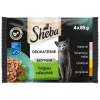 Sheba Delicacy Vegyes Választék Alutasakos Macskaeledel (Lazac, Fehérhúsú hal, Csirke, Pulyka) - 4x85 g
